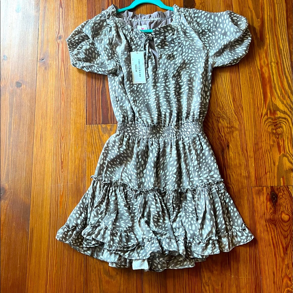 NWT Buddy Love drop waist dress XS